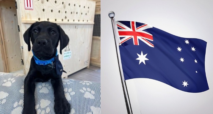 Portugal Property Costs In 2025: How Much Do Houses And Apartments Cost?